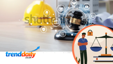 engineering-and-law